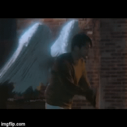 image tagged in gifs | made w/ Imgflip video-to-gif maker