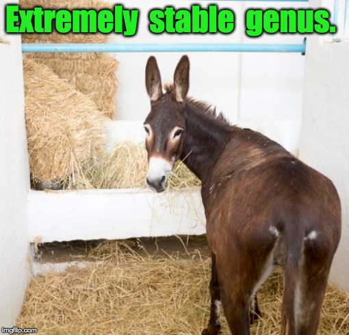 Stable Genus | Extremely  stable  genus. | image tagged in stable genius | made w/ Imgflip meme maker