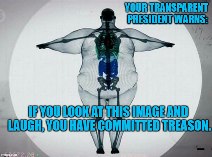 Transparent President | YOUR TRANSPARENT PRESIDENT WARNS:; IF YOU LOOK AT THIS IMAGE AND LAUGH, YOU HAVE COMMITTED TREASON. | image tagged in political humor | made w/ Imgflip meme maker