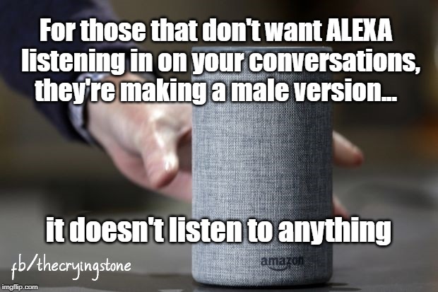 For those that don't want ALEXA 
listening in on your conversations, they're making a male version... it doesn't listen to anything | image tagged in alexa,not listening | made w/ Imgflip meme maker
