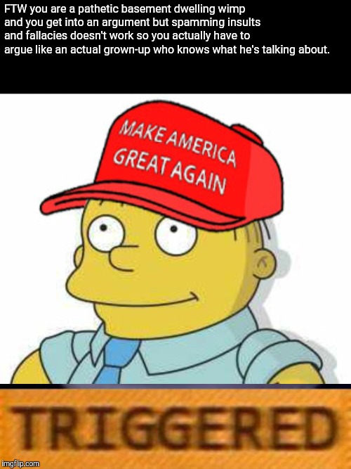 FTW you are a pathetic basement dwelling wimp and you get into an argument but spamming insults and fallacies doesn't work so you actually have to argue like an actual grown-up who knows what he's talking about. | image tagged in triggered,ralph wiggums trump maga,memes,stupid conservatives,arguments | made w/ Imgflip meme maker
