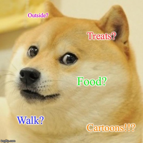 Doge Meme | Outside? Treats? Food? Walk? Cartoons!!? | image tagged in memes,doge | made w/ Imgflip meme maker