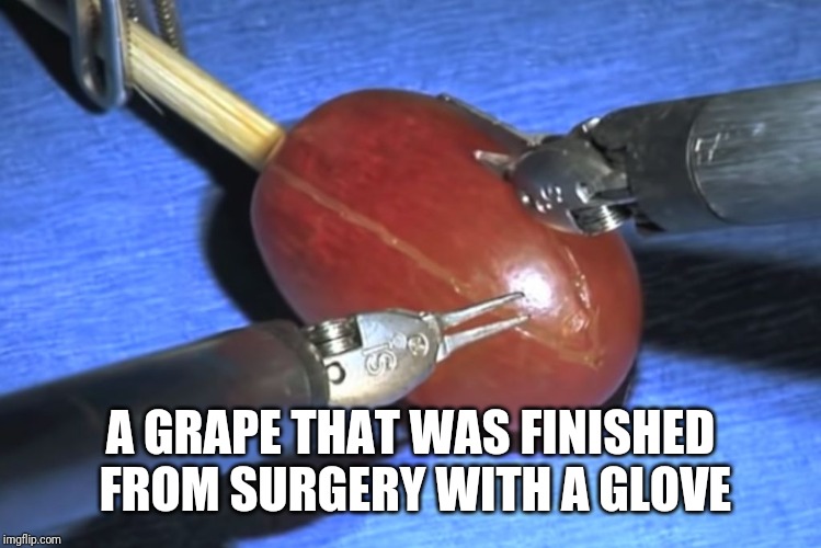 They did surgery on a grape | A GRAPE THAT WAS FINISHED FROM SURGERY WITH A GLOVE | image tagged in they did surgery on a grape | made w/ Imgflip meme maker