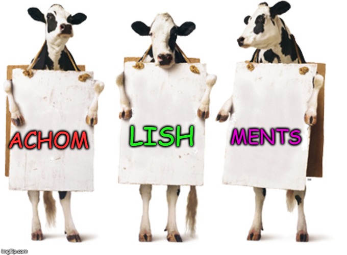 Don't re-elect someone that spells worse than us | LISH; MENTS; ACHOM | image tagged in chick-fil-a 3-cow billboard | made w/ Imgflip meme maker