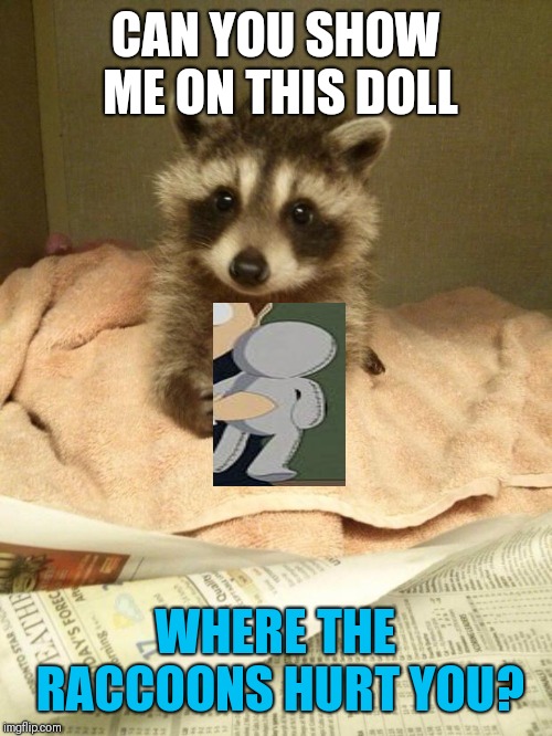 Racoon | CAN YOU SHOW ME ON THIS DOLL WHERE THE RACCOONS HURT YOU? | image tagged in racoon | made w/ Imgflip meme maker