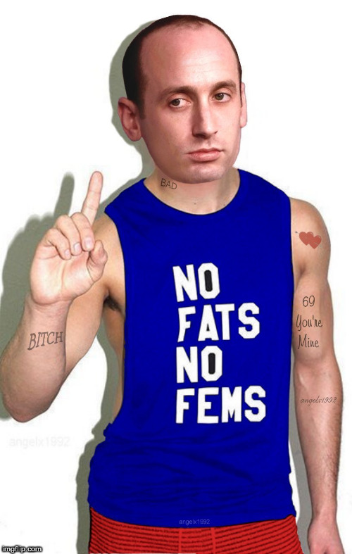 image tagged in stephen miller,lgbtq,scumbag republicans,fat people,feminine,homosexual | made w/ Imgflip meme maker