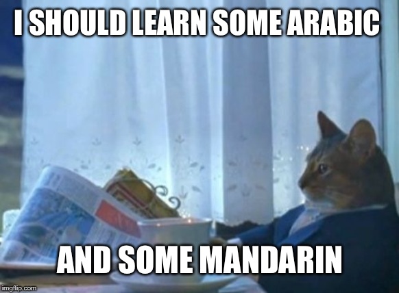 I Should Buy A Boat Cat | I SHOULD LEARN SOME ARABIC; AND SOME MANDARIN | image tagged in memes,i should buy a boat cat | made w/ Imgflip meme maker