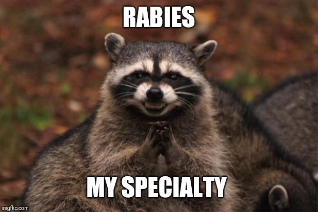 evil genius racoon | RABIES MY SPECIALTY | image tagged in evil genius racoon | made w/ Imgflip meme maker