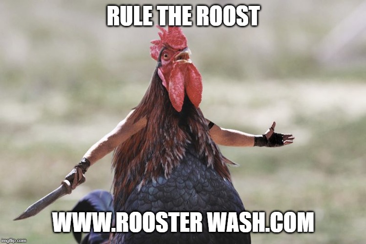 Gladiator Rooster | RULE THE ROOST; WWW.ROOSTER WASH.COM | image tagged in gladiator rooster | made w/ Imgflip meme maker