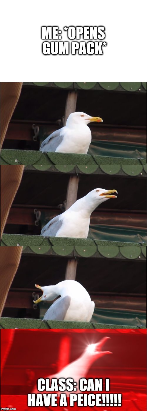 Damn class does it every time | ME: *OPENS GUM PACK*; CLASS: CAN I HAVE A PEICE!!!!! | image tagged in memes,inhaling seagull | made w/ Imgflip meme maker
