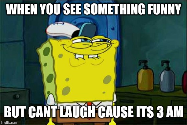 Don't You Squidward Meme | WHEN YOU SEE SOMETHING FUNNY; BUT CANT LAUGH CAUSE ITS 3 AM | image tagged in memes,dont you squidward | made w/ Imgflip meme maker