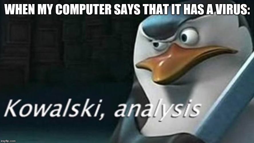 Analysis | WHEN MY COMPUTER SAYS THAT IT HAS A VIRUS: | image tagged in memes,kowalski analysis | made w/ Imgflip meme maker