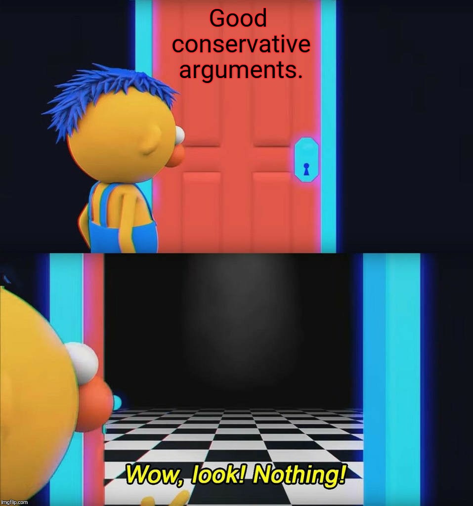 Wow look nothing! | Good conservative arguments. | image tagged in wow look nothing,conservatives,stupid conservatives,stupid people,argument | made w/ Imgflip meme maker