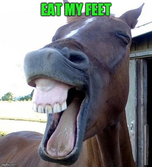 Funny Horse Face | EAT MY FEET | image tagged in funny horse face | made w/ Imgflip meme maker