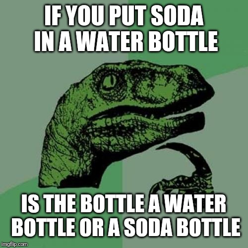 Philosoraptor | IF YOU PUT SODA IN A WATER BOTTLE; IS THE BOTTLE A WATER BOTTLE OR A SODA BOTTLE | image tagged in memes,philosoraptor | made w/ Imgflip meme maker