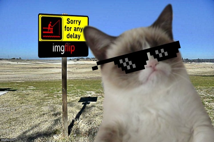 Grumpy Cat imgflip | image tagged in grumpy cat imgflip | made w/ Imgflip meme maker