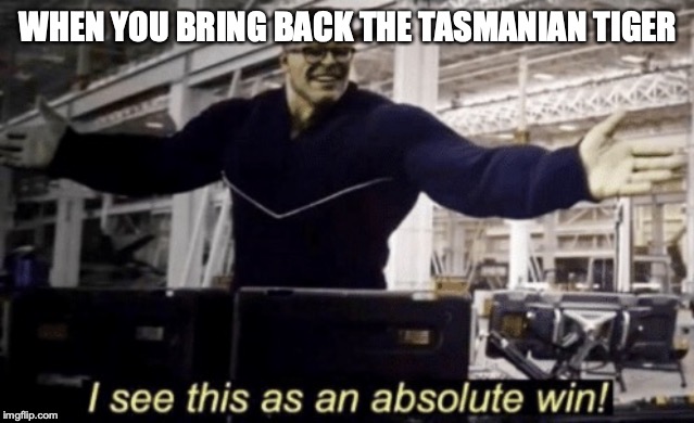 I See This as an Absolute Win! | WHEN YOU BRING BACK THE TASMANIAN TIGER | image tagged in i see this as an absolute win | made w/ Imgflip meme maker