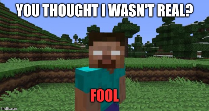 Herobrine | YOU THOUGHT I WASN'T REAL? FOOL | image tagged in herobrine | made w/ Imgflip meme maker