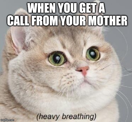 Heavy Breathing Cat | WHEN YOU GET A CALL FROM YOUR MOTHER | image tagged in memes,heavy breathing cat | made w/ Imgflip meme maker