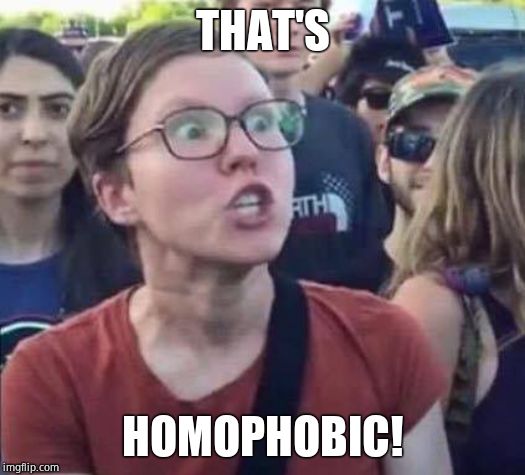 Angry Liberal | THAT'S HOMOPHOBIC! | image tagged in angry liberal | made w/ Imgflip meme maker