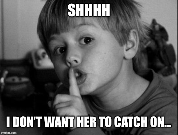 Shhhh | SHHHH I DON’T WANT HER TO CATCH ON... | image tagged in shhhh | made w/ Imgflip meme maker