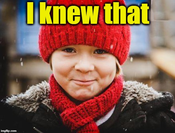 smirk | I knew that | image tagged in smirk | made w/ Imgflip meme maker