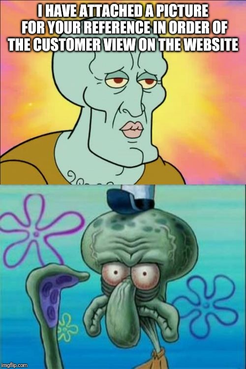 Squidward Meme | I HAVE ATTACHED A PICTURE FOR YOUR REFERENCE IN ORDER OF THE CUSTOMER VIEW ON THE WEBSITE | image tagged in memes,squidward | made w/ Imgflip meme maker