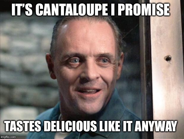 Hannibal Lecter | IT’S CANTALOUPE I PROMISE TASTES DELICIOUS LIKE IT ANYWAY | image tagged in hannibal lecter | made w/ Imgflip meme maker