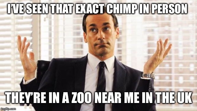 don draper | I’VE SEEN THAT EXACT CHIMP IN PERSON THEY’RE IN A ZOO NEAR ME IN THE UK | image tagged in don draper | made w/ Imgflip meme maker