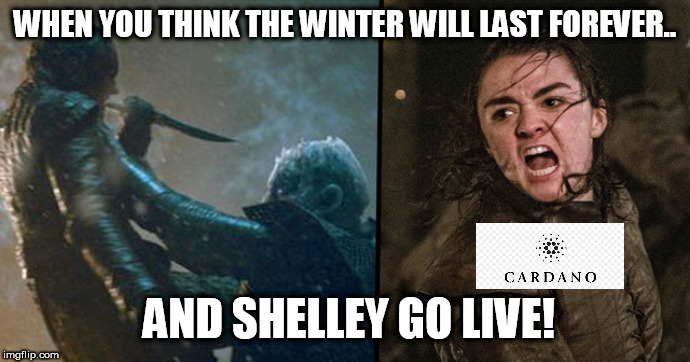 WHEN YOU THINK THE WINTER WILL LAST FOREVER.. AND SHELLEY GO LIVE! | made w/ Imgflip meme maker