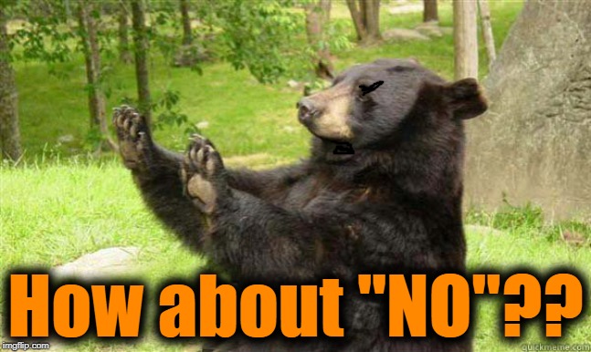 How about no bear | How about "NO"?? | image tagged in how about no bear | made w/ Imgflip meme maker