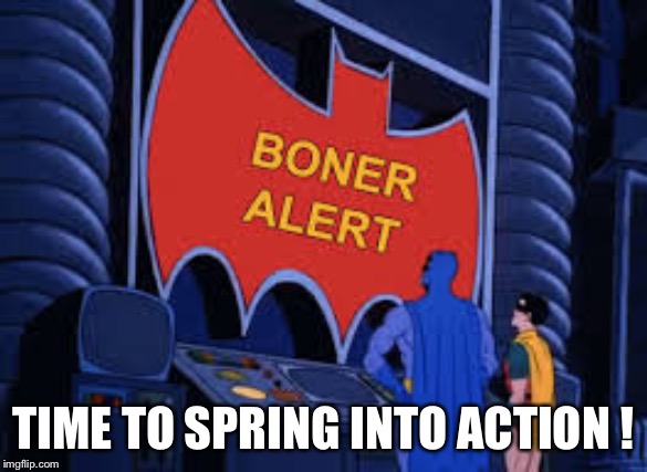 Boner Alert! Boner Alert! | TIME TO SPRING INTO ACTION ! | image tagged in boner alert boner alert | made w/ Imgflip meme maker
