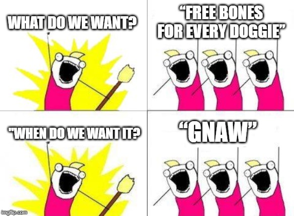 What Do We Want | WHAT DO WE WANT? “FREE BONES FOR EVERY DOGGIE”; “GNAW”; "WHEN DO WE WANT IT? | image tagged in memes,what do we want | made w/ Imgflip meme maker