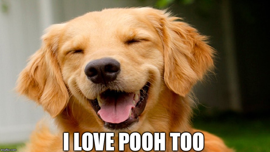 smiling dog | I LOVE POOH TOO | image tagged in smiling dog | made w/ Imgflip meme maker