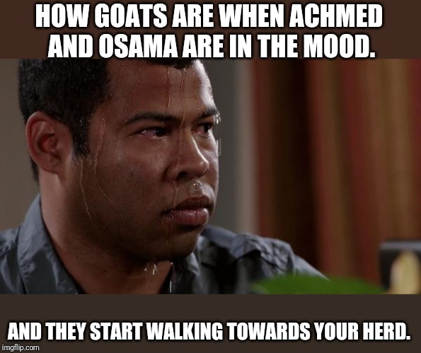 sweating bullets | HOW GOATS ARE WHEN ACHMED AND OSAMA ARE IN THE MOOD. AND THEY START WALKING TOWARDS YOUR HERD. | image tagged in sweating bullets | made w/ Imgflip meme maker