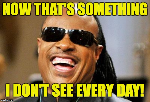 Stevie Wonder | NOW THAT'S SOMETHING I DON'T SEE EVERY DAY! | image tagged in stevie wonder | made w/ Imgflip meme maker