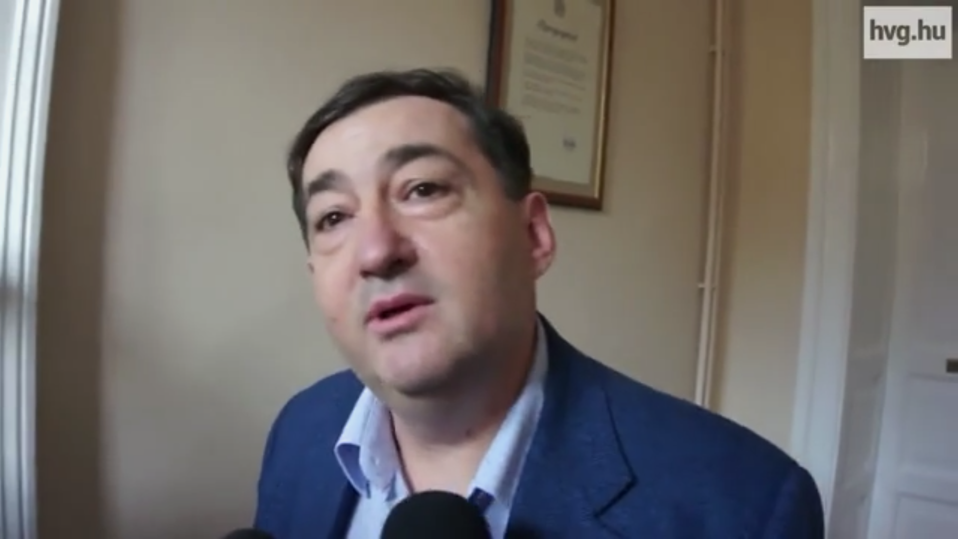 High Quality Mészáros Lőrinc matematikus Blank Meme Template