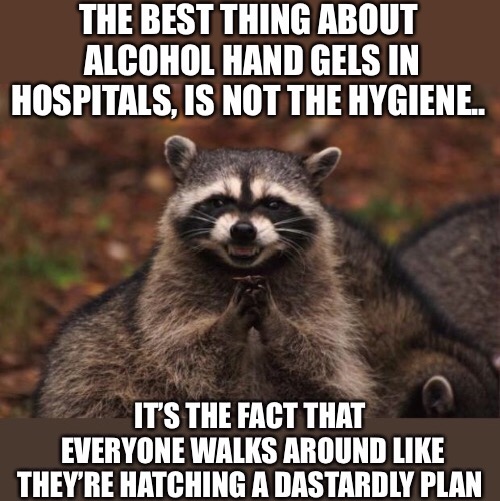 Always plotting, hygienically | image tagged in evil plotting raccoon,washing hands,or is it,dastardly,planning,why not both | made w/ Imgflip meme maker