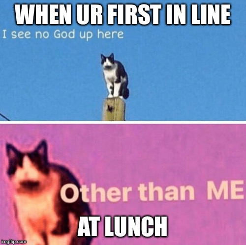 Hail pole cat | WHEN UR FIRST IN LINE; AT LUNCH | image tagged in hail pole cat | made w/ Imgflip meme maker