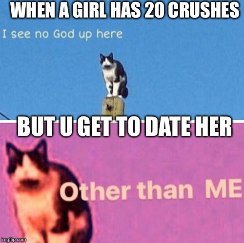 Hail pole cat | WHEN A GIRL HAS 20 CRUSHES; BUT U GET TO DATE HER | image tagged in hail pole cat | made w/ Imgflip meme maker