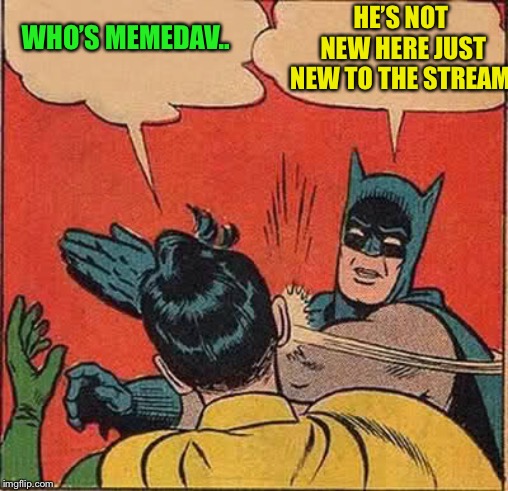 Batman Slapping Robin Meme | WHO’S MEMEDAV.. HE’S NOT NEW HERE JUST NEW TO THE STREAM | image tagged in memes,batman slapping robin | made w/ Imgflip meme maker