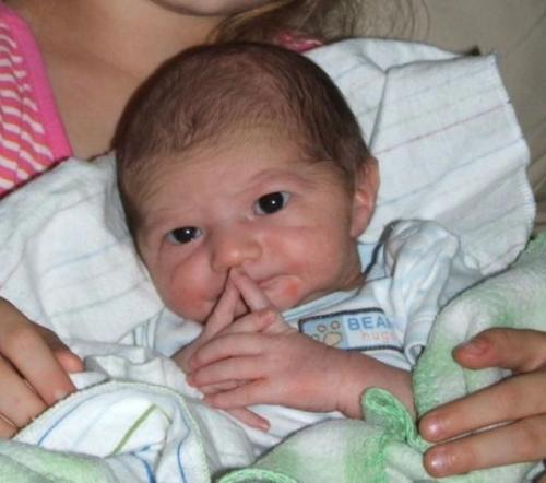 image tagged in funny