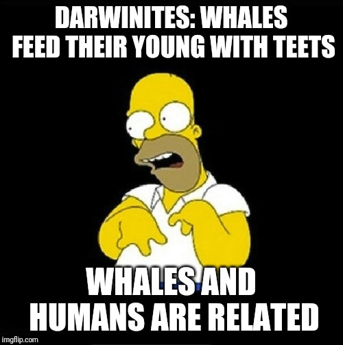 Homer Simpson Retarded | DARWINITES: WHALES FEED THEIR YOUNG WITH TEETS; WHALES AND HUMANS ARE RELATED | image tagged in homer simpson retarded | made w/ Imgflip meme maker