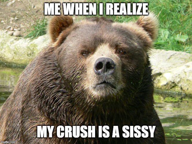 ME WHEN I REALIZE; MY CRUSH IS A SISSY | image tagged in gay,bear | made w/ Imgflip meme maker