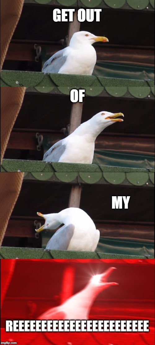Inhaling Seagull | GET OUT; OF; MY; REEEEEEEEEEEEEEEEEEEEEEEE | image tagged in memes,inhaling seagull | made w/ Imgflip meme maker