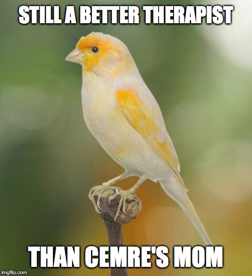 Yemin: Incir "The Therapist" |  STILL A BETTER THERAPIST; THAN CEMRE'S MOM | image tagged in yemin,incir,bird,cemre,suheyla,still a better love story than twilight | made w/ Imgflip meme maker