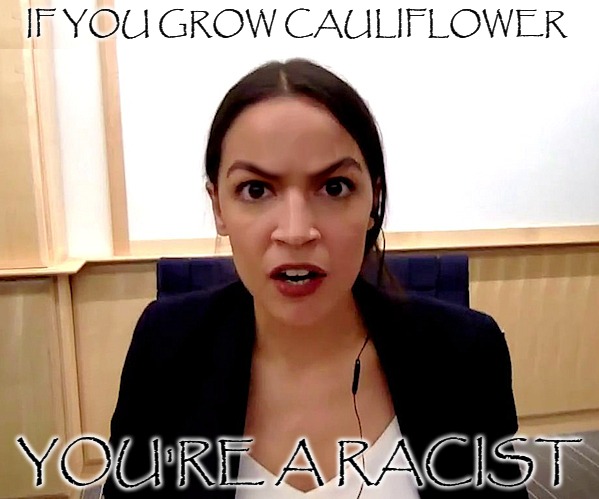 You heard it from the peanut-brain, people. Cauliflower is now considered racist. If you grow it and you like it, you're racist. | IF YOU GROW CAULIFLOWER; YOU'RE A RACIST | image tagged in alexandria ocasio-cortez,cauliflower,racism,just shoot me now | made w/ Imgflip meme maker