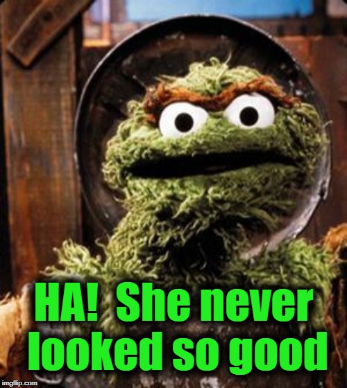Oscar the Grouch | HA!  She never looked so good | image tagged in oscar the grouch | made w/ Imgflip meme maker