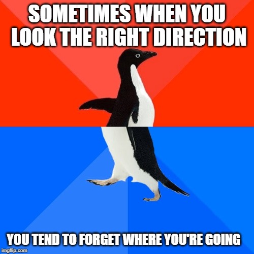 Polar-Sided Penguin | SOMETIMES WHEN YOU LOOK THE RIGHT DIRECTION; YOU TEND TO FORGET WHERE YOU'RE GOING | image tagged in memes,socially awesome awkward penguin | made w/ Imgflip meme maker