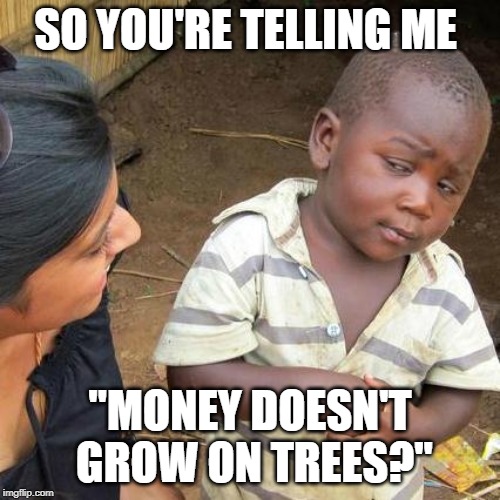 He is Slowing Learning | SO YOU'RE TELLING ME; "MONEY DOESN'T GROW ON TREES?" | image tagged in memes,third world skeptical kid | made w/ Imgflip meme maker